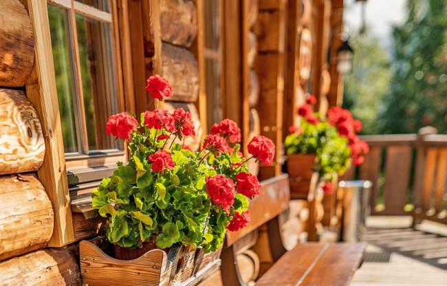Almhütte in der Almwelt Austira in den Sommermonaten