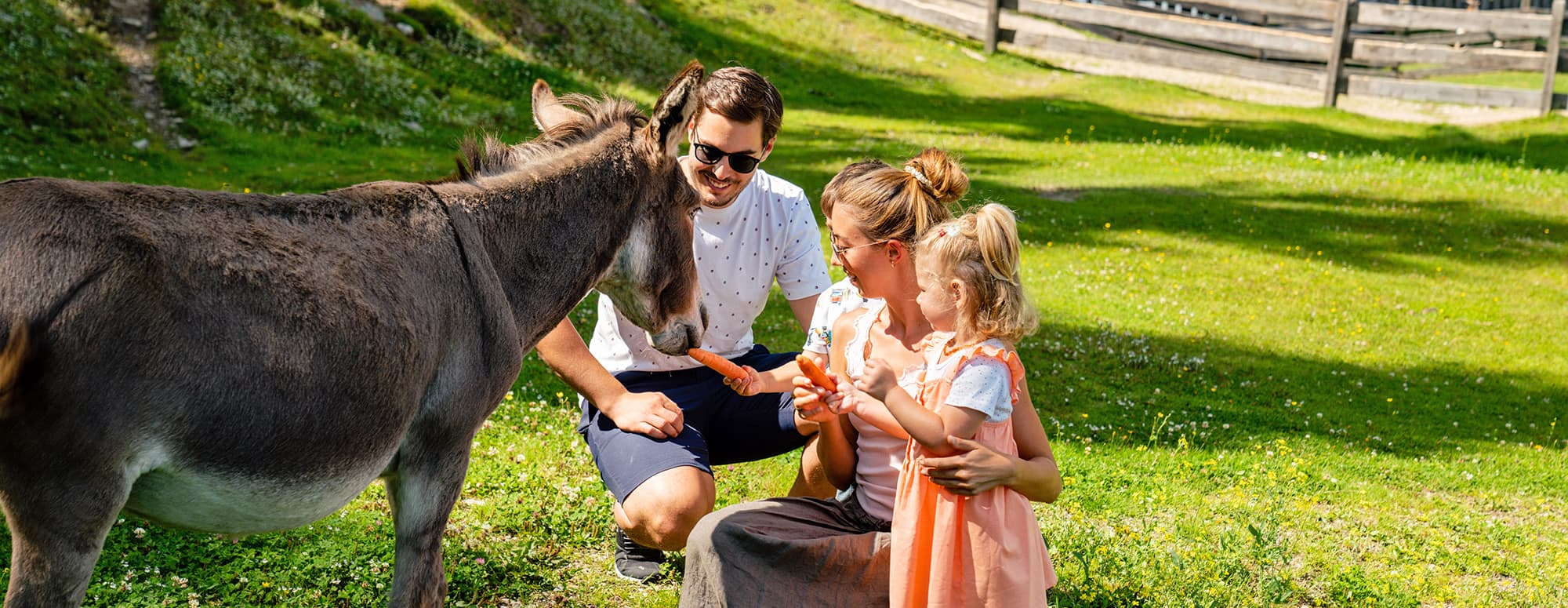 Sommerurlaub in der Almwelt Austria in der Region Schladming-Dachstein