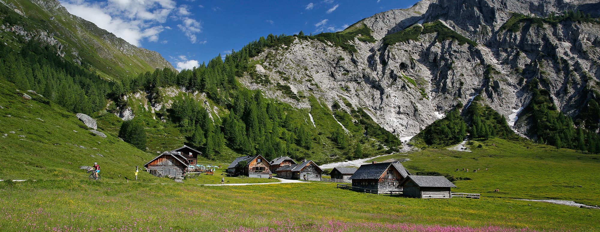 Ausflugsziel Ursprungalm in der Region Schladming-Dachstein