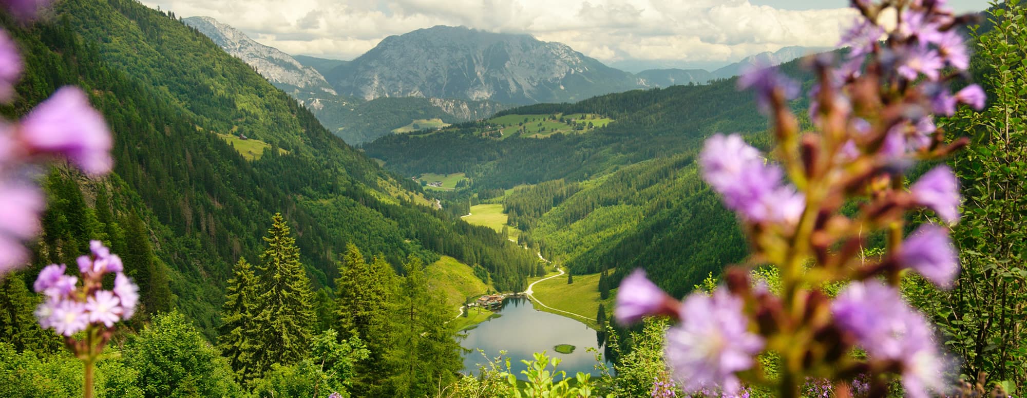 Leichte Wanderung in Schladming rund um den Steirischen Bodensee in der Wanderregion Schladming-Dachstein