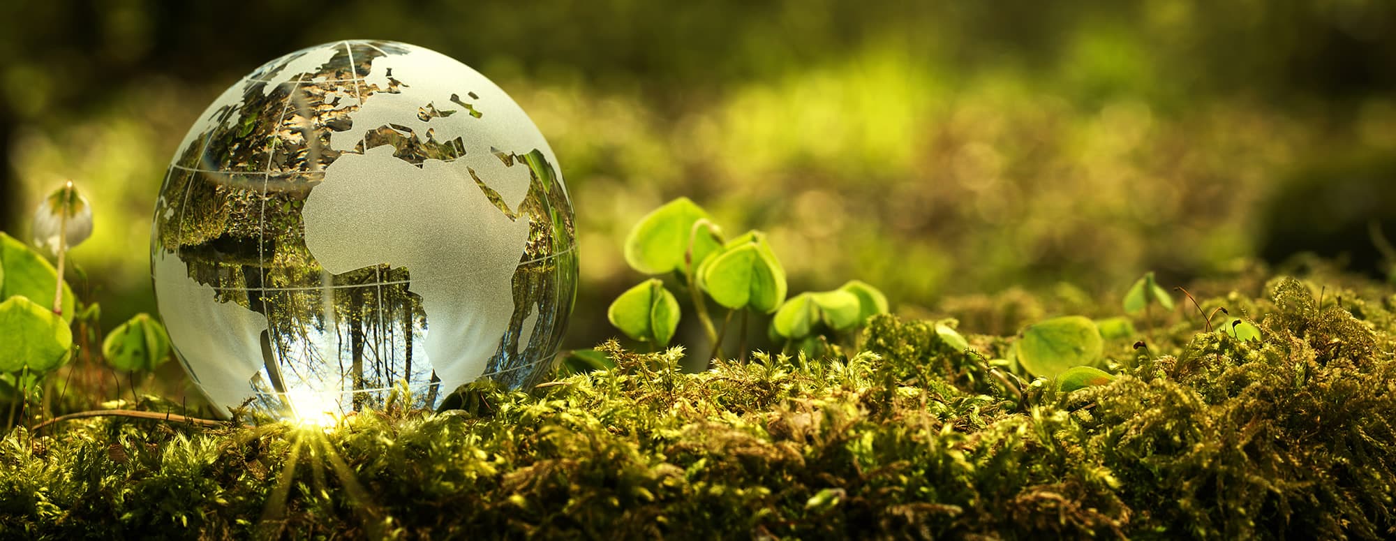 The Austrian Ecolabel