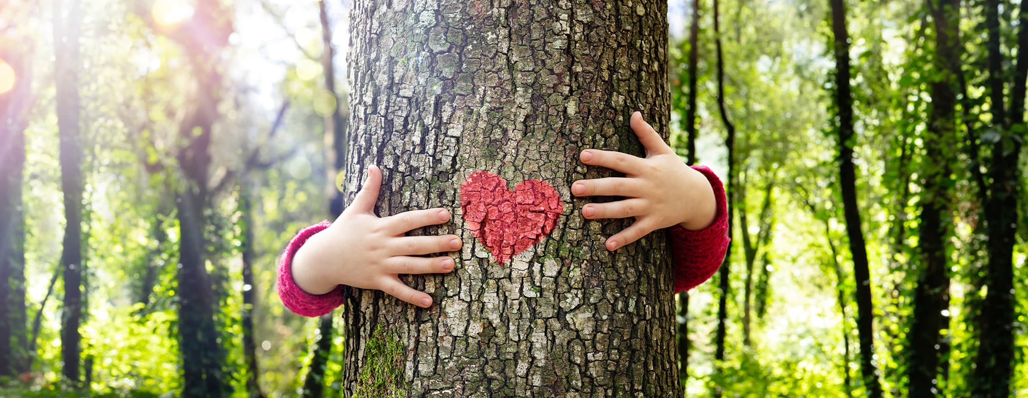 We are certified with the The Austrian Ecolabel