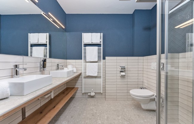 Apartment dachstein 21 