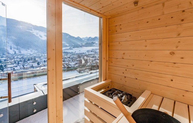 Sauna with a panoramic view
