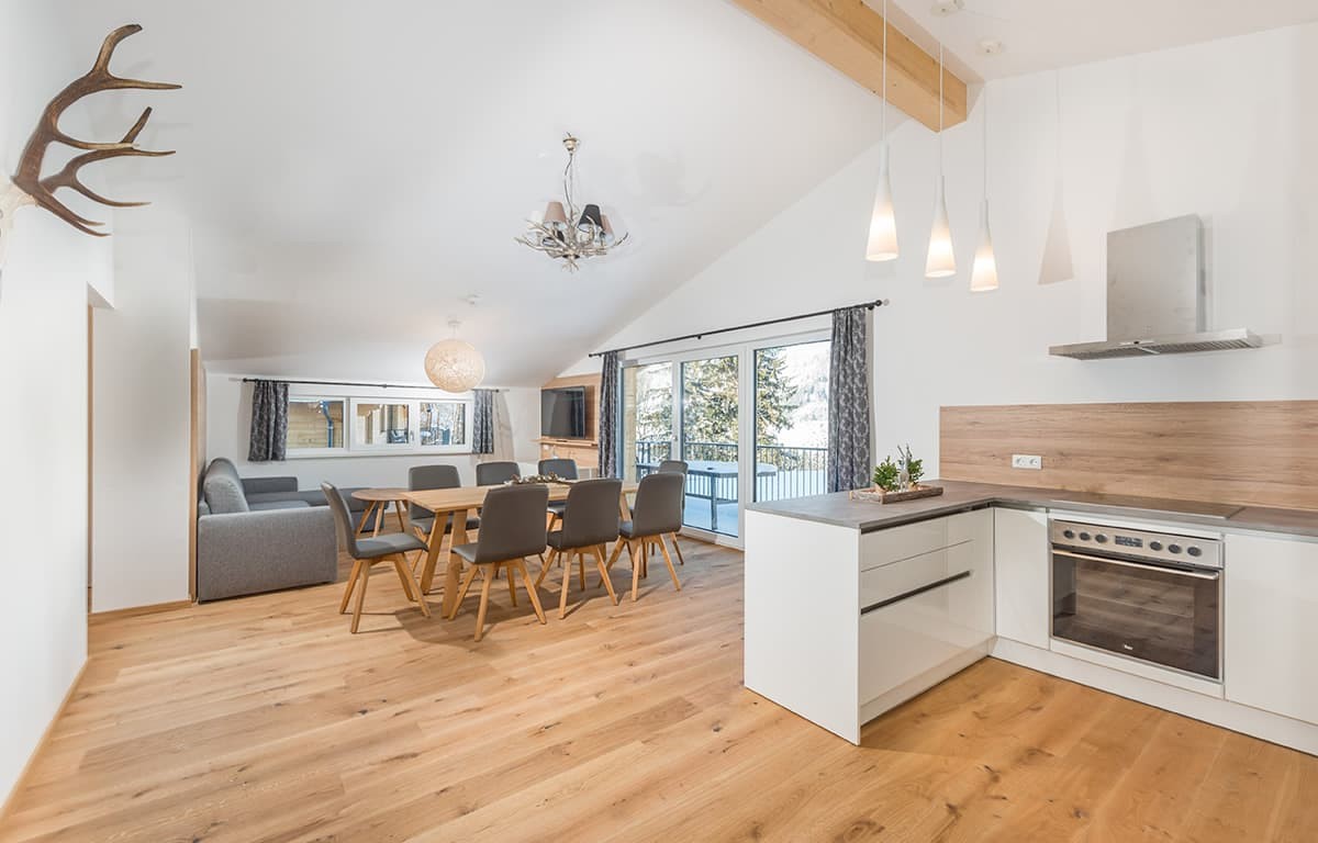 Apartment Penthouse Family