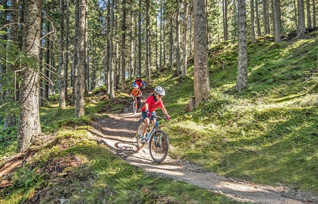  Attractive and varied bike trails on the Reiteralm for everyone © Schladming-Dachstein | Lorenz Masser