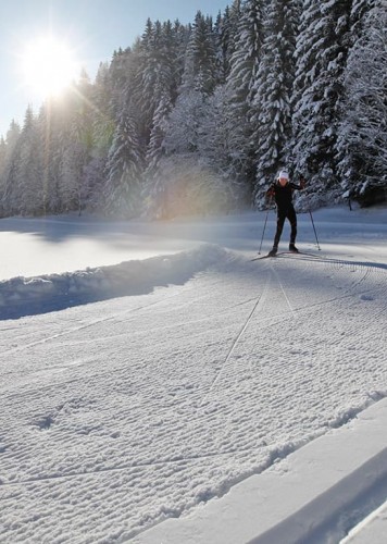 Langlaufen auf bestens präparierten Pisten © Schladming-Dachstein | Raffalt